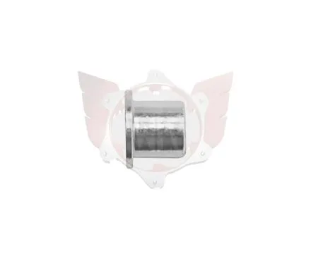 Pin fixation disque Ø17 Mini V2.0
