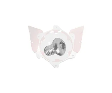 BLEEDING SCREW M6x6