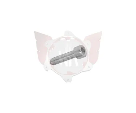 Vis de fixation d'étrier de frein M6x25