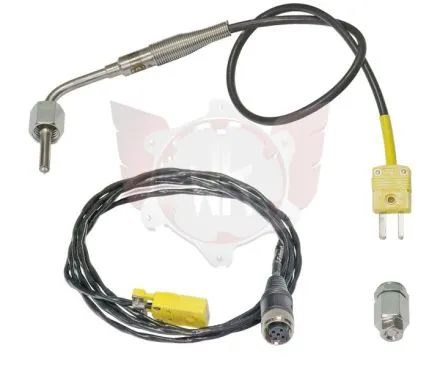 TEMPERATURSENSOR ABGAS PROFESSIONAL KOMPLETT