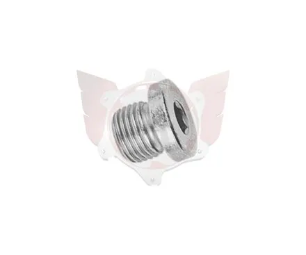 VERSCHLUSSSCHRAUBE M10x1