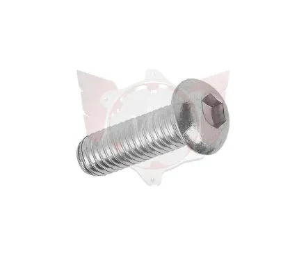 CALIPER MOUNTING SCREW M10x25