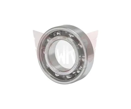 BALANCE SHAFT BALL BEARING 6005 C4