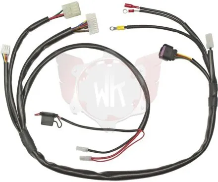 WIRING HARNESS 2013