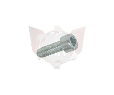 CAPHEAD ALLEN SCREW 8.8 M10x30mm