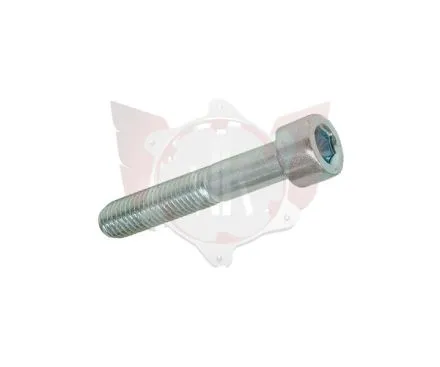 CAPHEAD ALLEN SCREW 8.8 M10x55mm