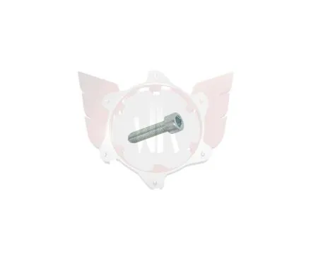 CAPHEAD ALLEN SCREW 8.8 M5x20mm