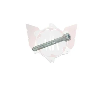 CAPHEAD ALLEN SCREW 8.8 M5x40mm