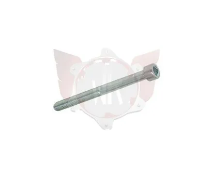 ZYLINDERKOPFSCHRAUBE 8.8 M5x55mm