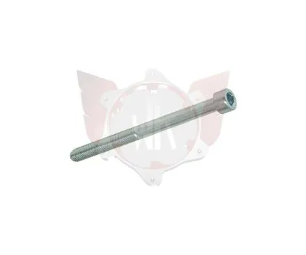 CAPHEAD ALLEN SCREW 8.8 M5x60mm