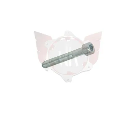 CAPHEAD ALLEN SCREW 8.8 M6x40mm