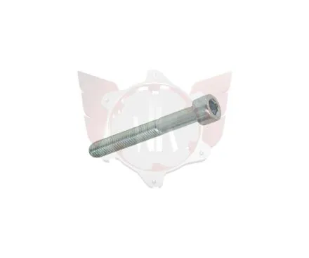 CAPHEAD ALLEN SCREW 8.8 M6x45mm