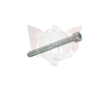 CAPHEAD ALLEN SCREW 8.8 M6x55mm