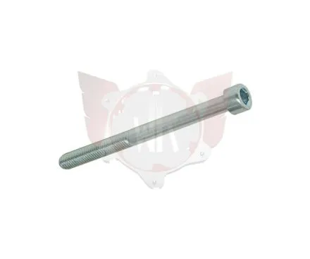 CAPHEAD ALLEN SCREW 8.8 M6x70mm