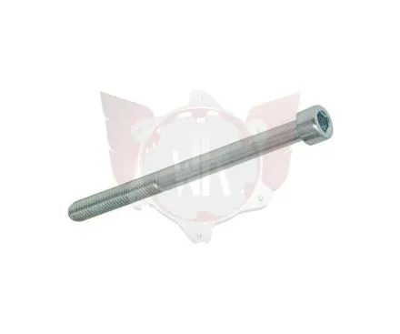 CAPHEAD ALLEN SCREW 8.8 M6x75mm