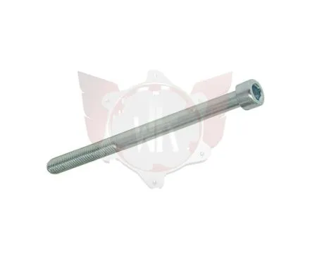 CAPHEAD ALLEN SCREW 8.8 M6x80mm