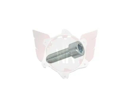CAPHEAD ALLEN SCREW 8.8 M8x25mm