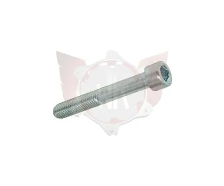 CAPHEAD ALLEN SCREW 8.8 M8x55mm