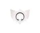 Circlips Seeger D22