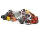 Kart FS4 Briggs & Stratton mit Motor