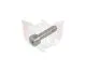 FLOAT BOWL SCREW