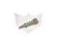 IDLE ADJUSTMENT SCREW KIT PHBG 18