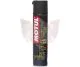 MOTUL CARBU CLEAN