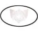 O-Ring Wasserdeckel 105x2,5mm