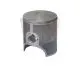 Piston 53,96 avec segment
