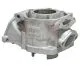 Cylindre 2024 Senior MAX 54,000 - 54,010