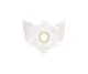 21 - Idle Mixture Screw Washer