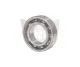 BALANCE SHAFT BALL BEARING 6005 C4