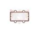 REED MANIFOLD GASKET