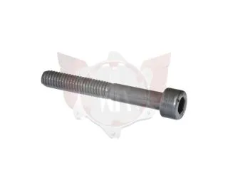 CAPHEAD ALLEN SCREW M6x45