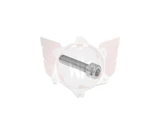 ALLEN SCREW M6x25mm WITH HOLE