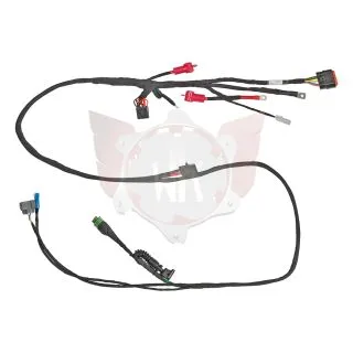 WIRING HARNESS FOR SWITCH BUTTON MODEL