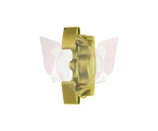 Half front caliper V09/V11 R/H gold with fittings