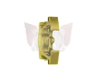 Half front caliper V09/V11 L/H gold with fittings