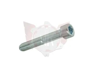 CAPHEAD ALLEN SCREW 8.8 M10x60mm